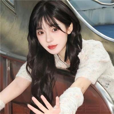 淑女宠爱