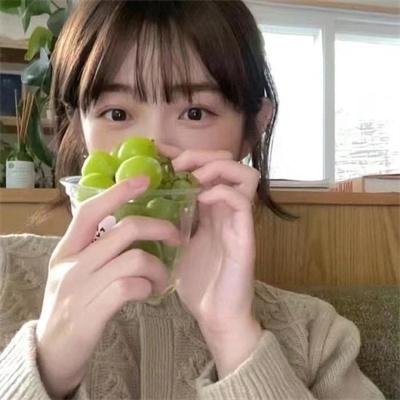 花园岛